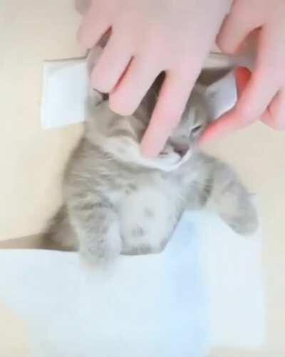 It's my massage time