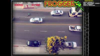 Frogger IRL