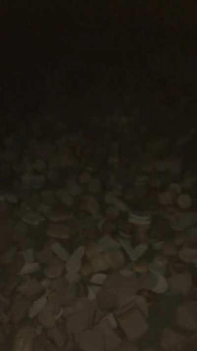 bread bandit or yeast beast