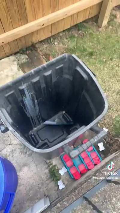 When ShenYun comes to town