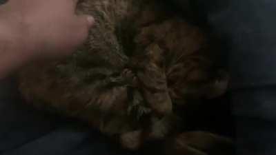 Ripley makes some cute noises when startled