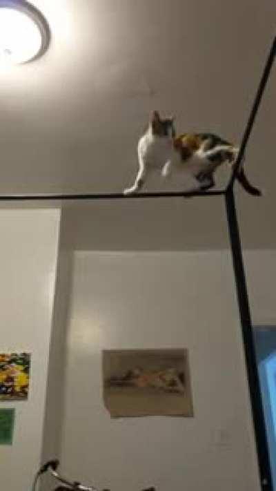 Why is she like this?