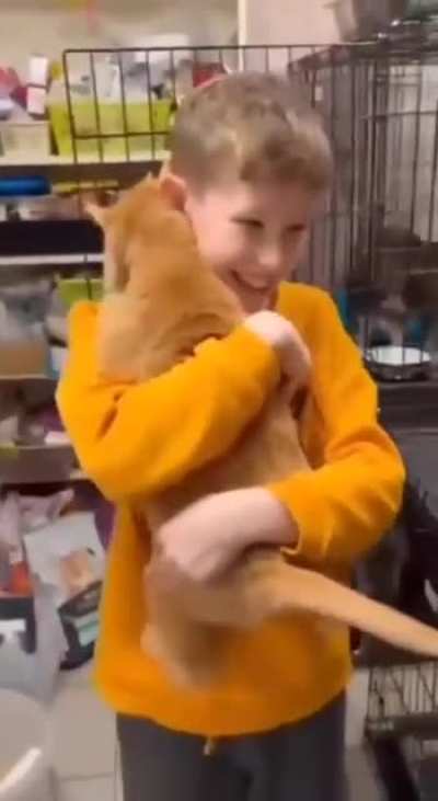 A guy came to a shelter to choose a cat, but the cat chose him first