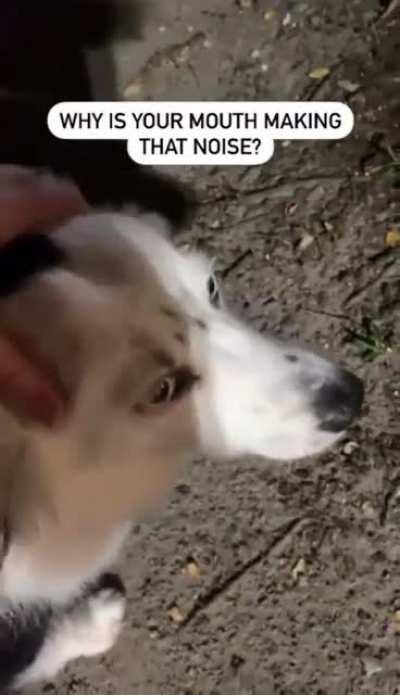 At least he didn’t chew it?