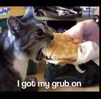 Just waking up in the morning