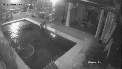 Resistencia Chaco Un menor entró a robar en una casa y ahogó a un perro para llevarse una garrafa. Fue detenido por la Policía, pero ya recuperó la libertad.