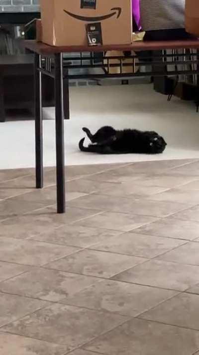 trying to seduce me from across the way