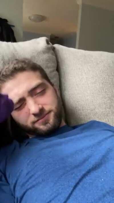 The dog is enjoying with his master...