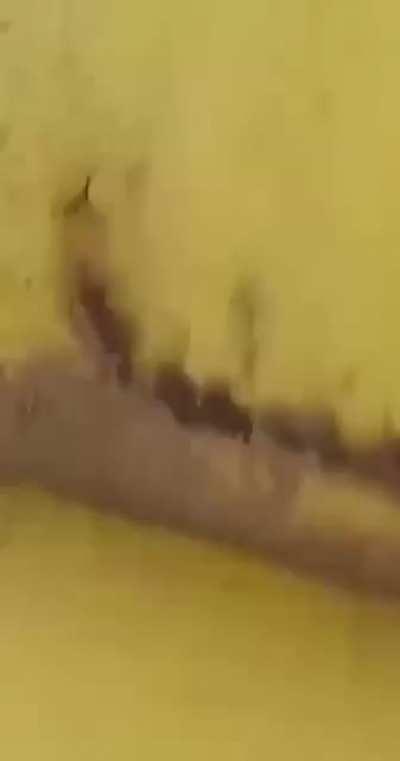 Apparent footage of two Ukrainian SU-25’s being shot down - can anyone identity the aircraft ? Looks like a late ejection too.