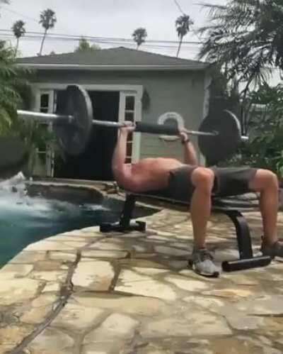 At least they tried caw caw