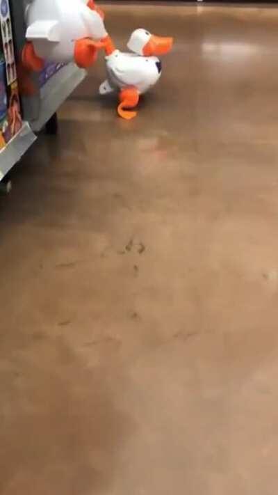 O título fugiu do porão