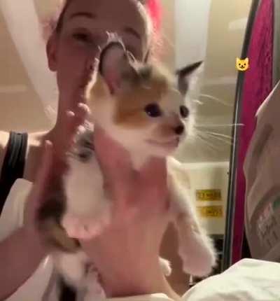 Wunk is being subjected to enhanced interrogation techniques 😁