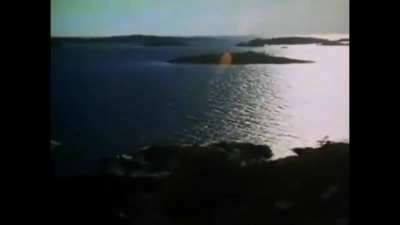 Torpedo boat, mine layer or missile boat? YES!