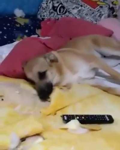 vacilei mas te amo <3