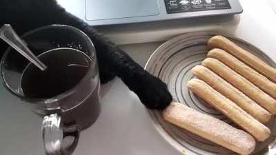 Girlfriend’s cat touching da biscuit