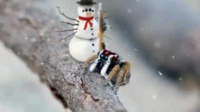 Blursed Christmas spiders