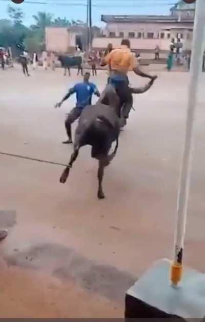 Me HODLing Dogecoin be like...