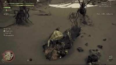 New small monster Balaqchi in action. 