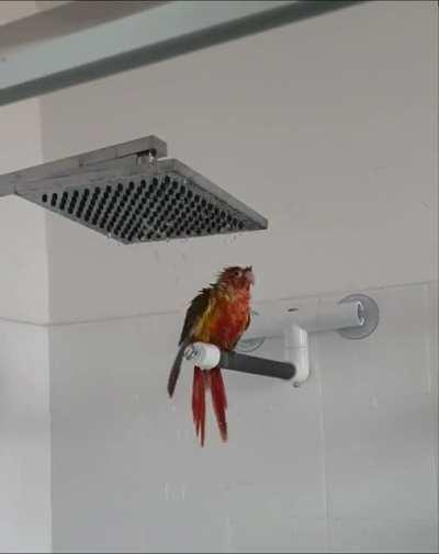 Shower party tiiiime