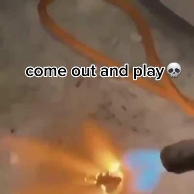 Come out and play💀