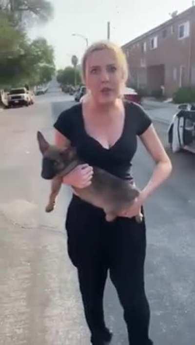Deranged woman harasses man and throws puppy at him