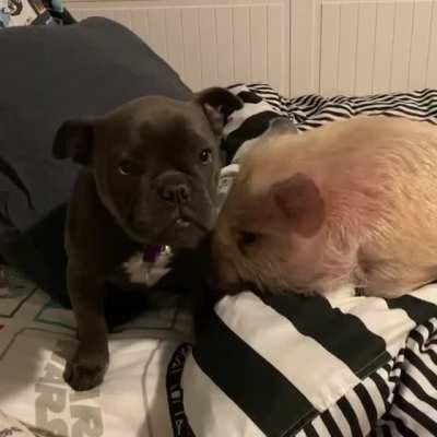 Piper is super excited to be going on a trip with his best friend