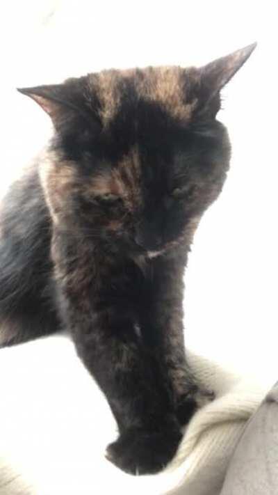 Lady talks a lot of smack while making biscuits.