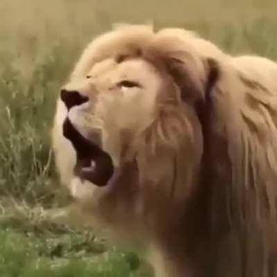 Changing the sound on a video makes a world of difference