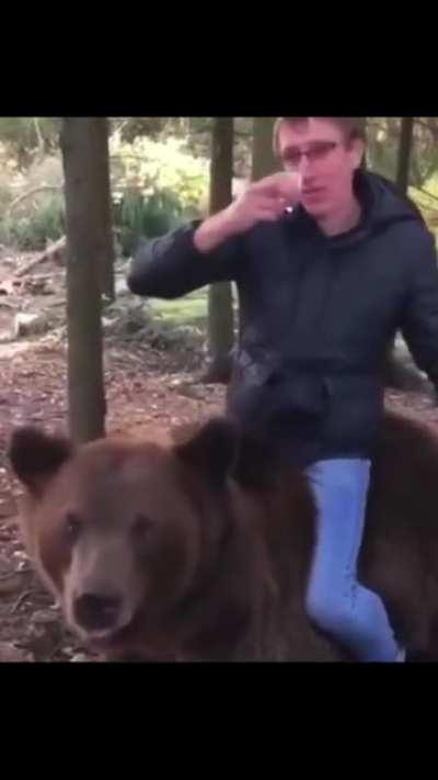Vodka drinking bear rider
