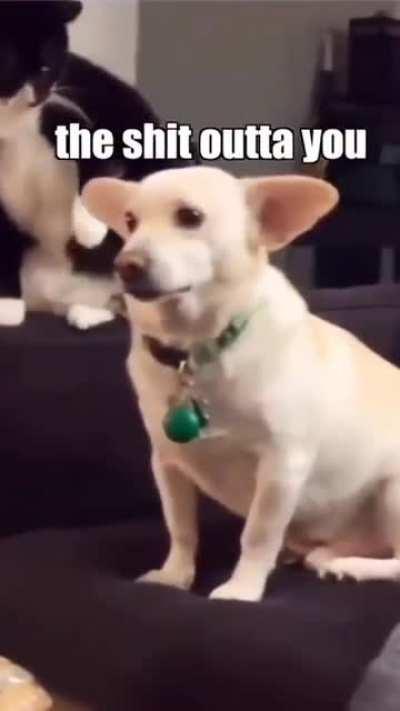 Me and my friend, Tony