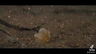 I’mma just drop this right here 🥱 My short film “Tournament of God Powers” coming out 2-22-22  