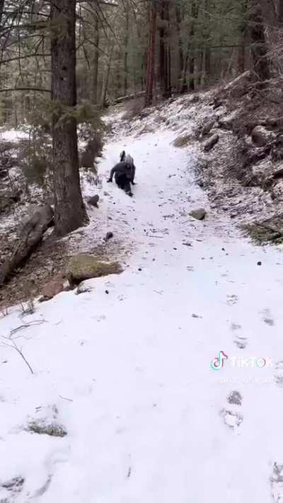 “I don’t care about the safety of my dog or anyone else!”