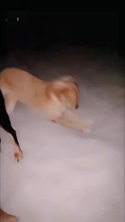 I got dizzy myself😅