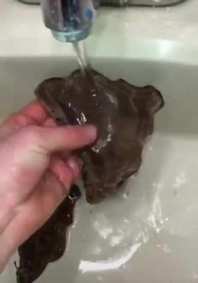 Not where I thought this was going