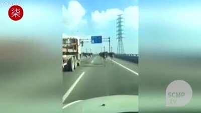 Don't you hate it when gangs run the streets