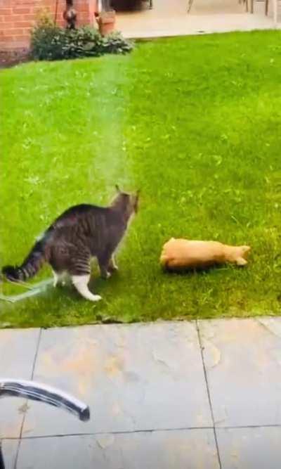 I just want to talk, I promise