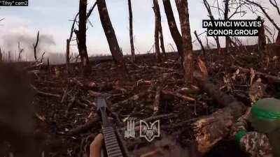 Full video of the combat between 