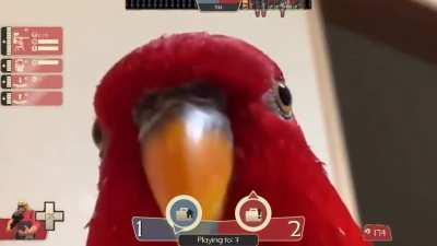 The intel has been removed