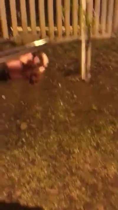 Brazil is proof gun control will never work.