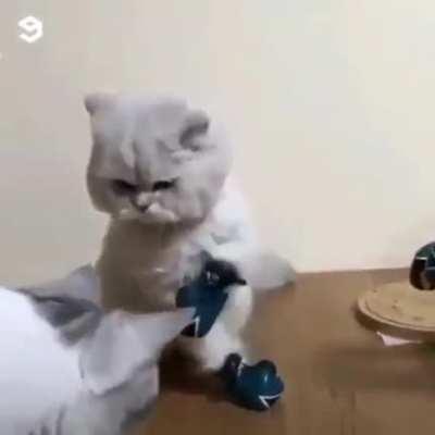 This still cracks me up !!