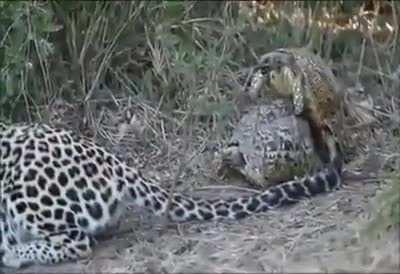 ¿Que hay Bro? Échame aguas