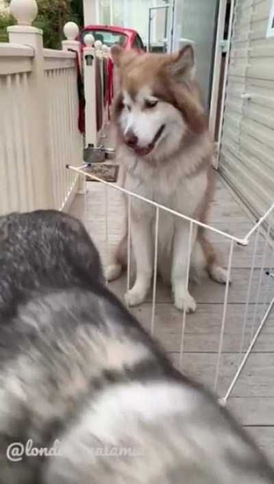 It's a simple spell but quite unbreakable