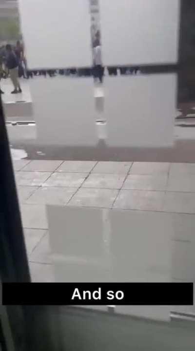 Exclusive french cuisine