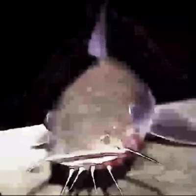 bjfgkijkrjgtieoahfzhjsapofqp