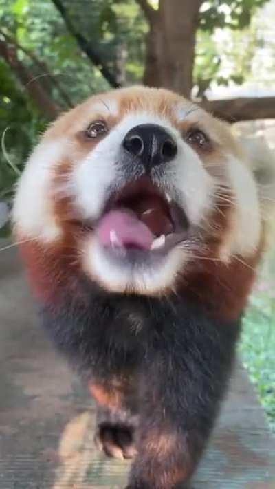 The sub doesn’t allow bots unfortunately