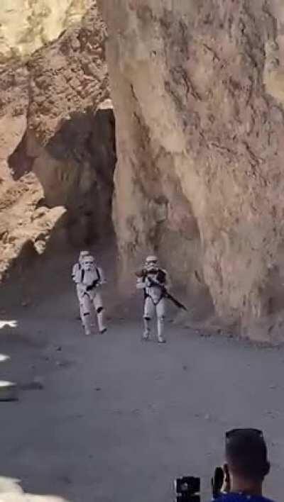 Friends parents of mine saw this while hiking in Death Valley. Any ideas?