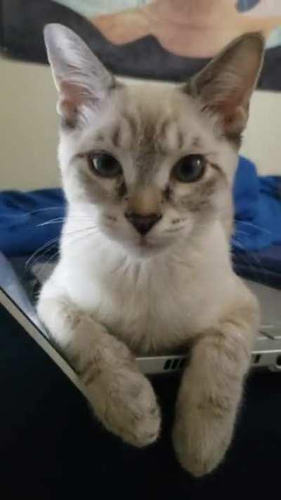 He is slapping you right now.