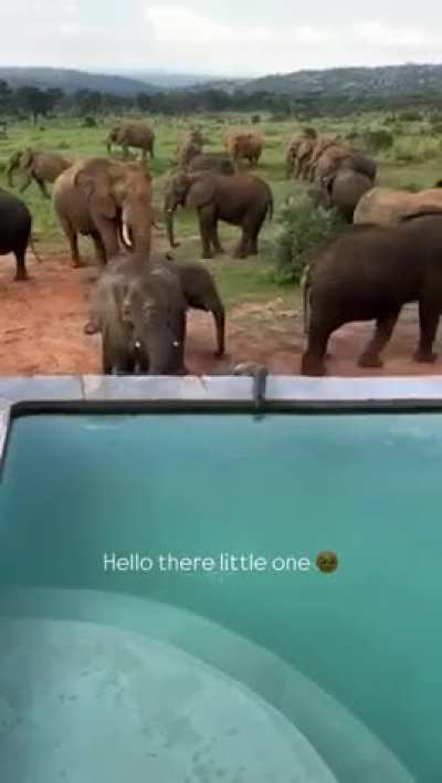 Hello there little one.