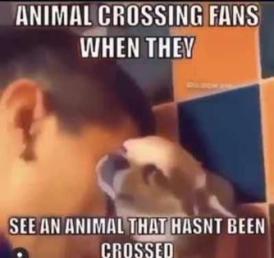 sskkskweaighidfgidfgfffft