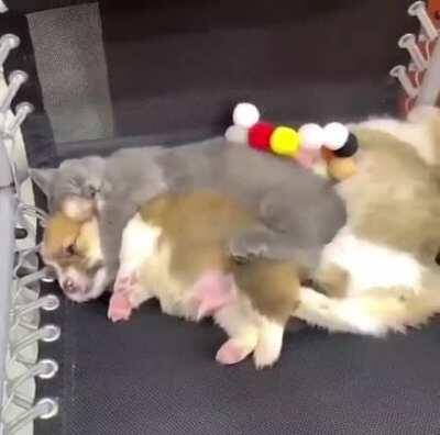 When you’re wide awake but don’t want to interrupt snuggle time